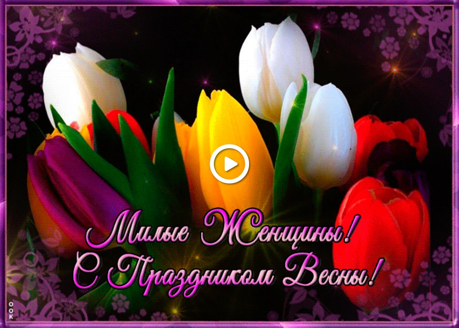 happy holidays to lovely women tulips flowers