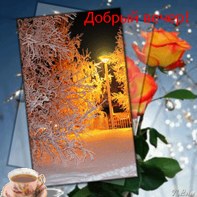 Postcard card request good winter evening animation good winter evening pictures gifs - free greetings on Fonwall