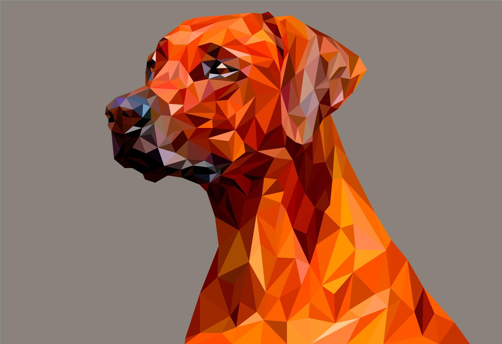 Wallpapers dog polygon facets on the desktop