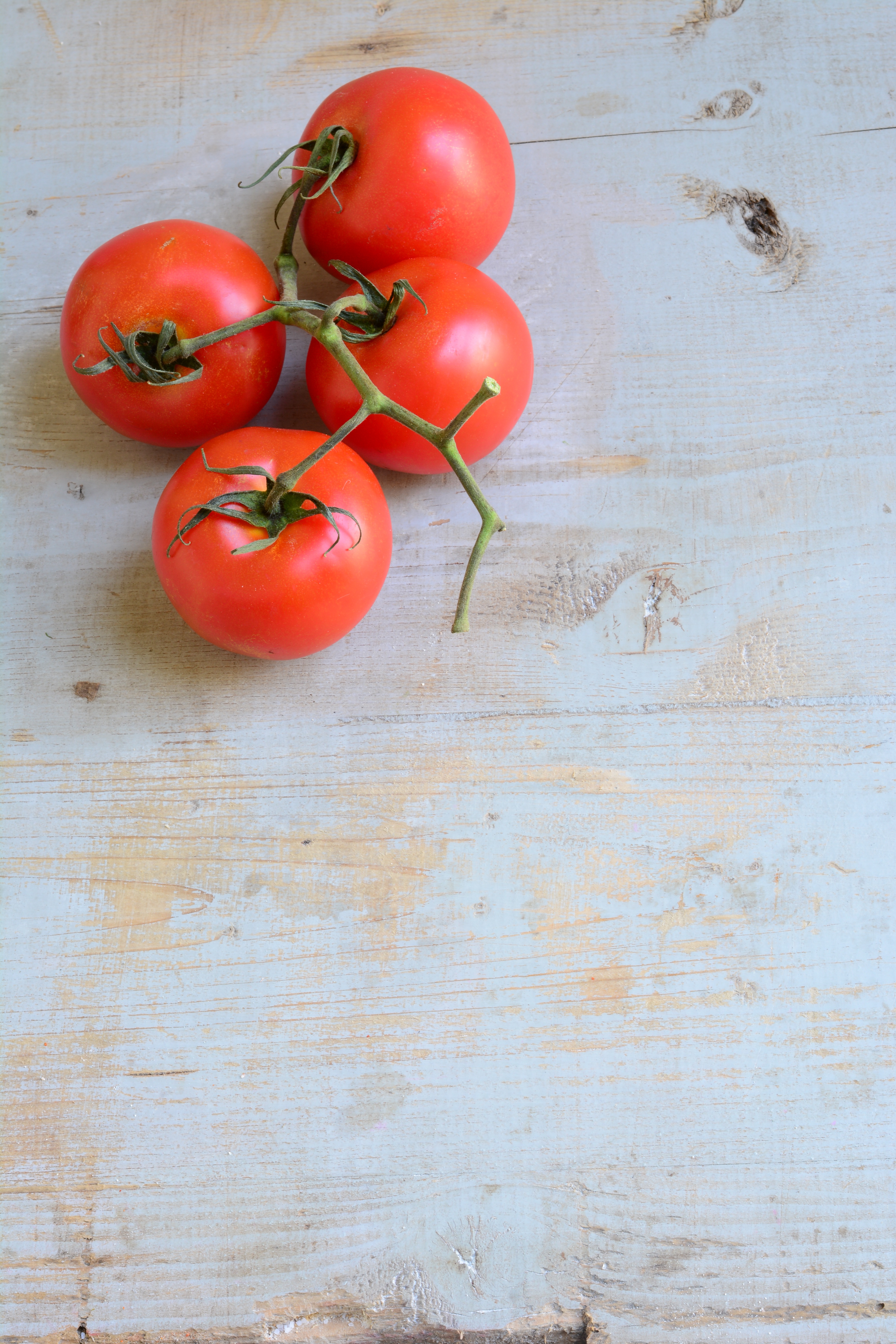 Wallpapers ripe red tomato fresh on the desktop