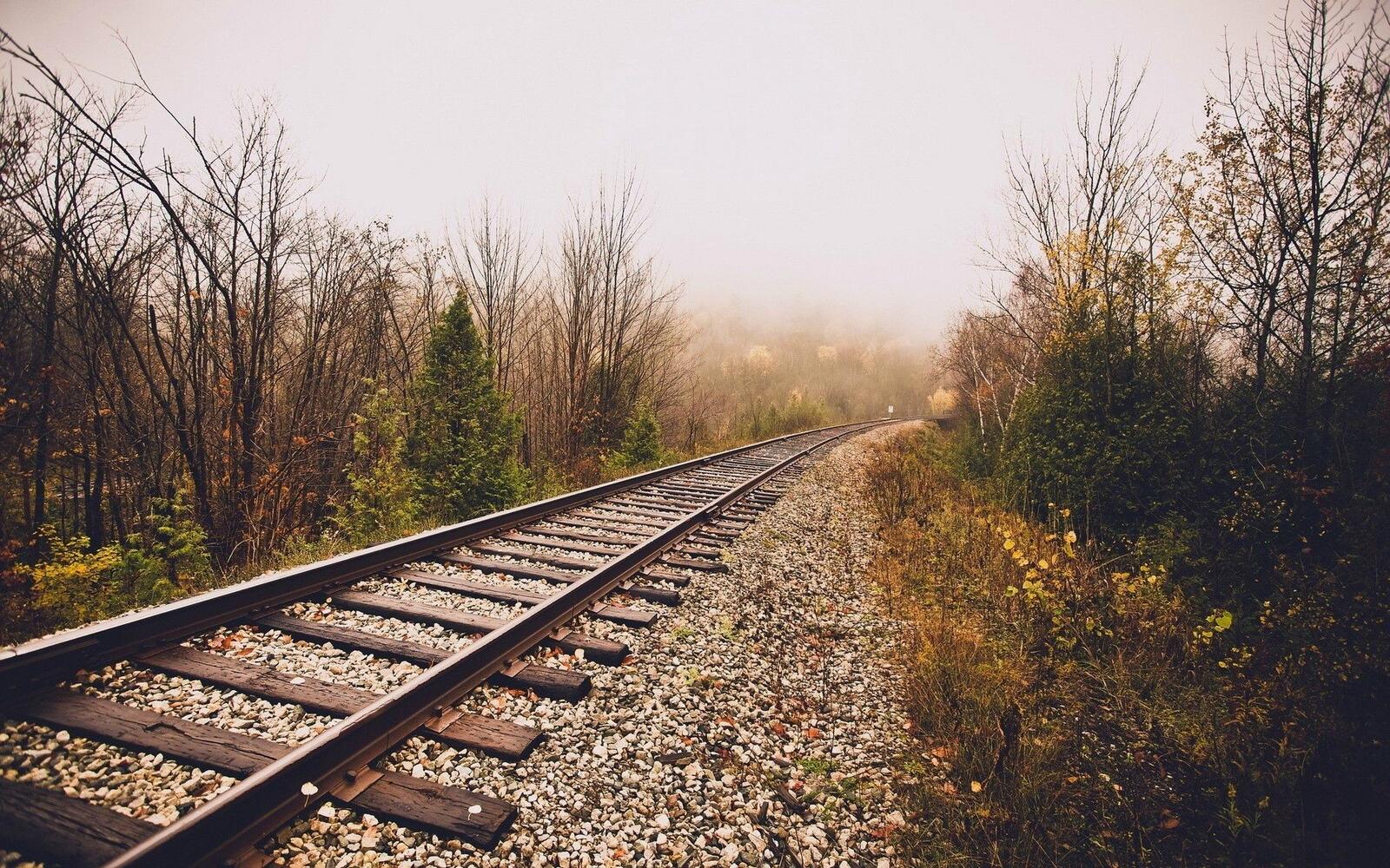 Free photo A railroad in a foggy forest