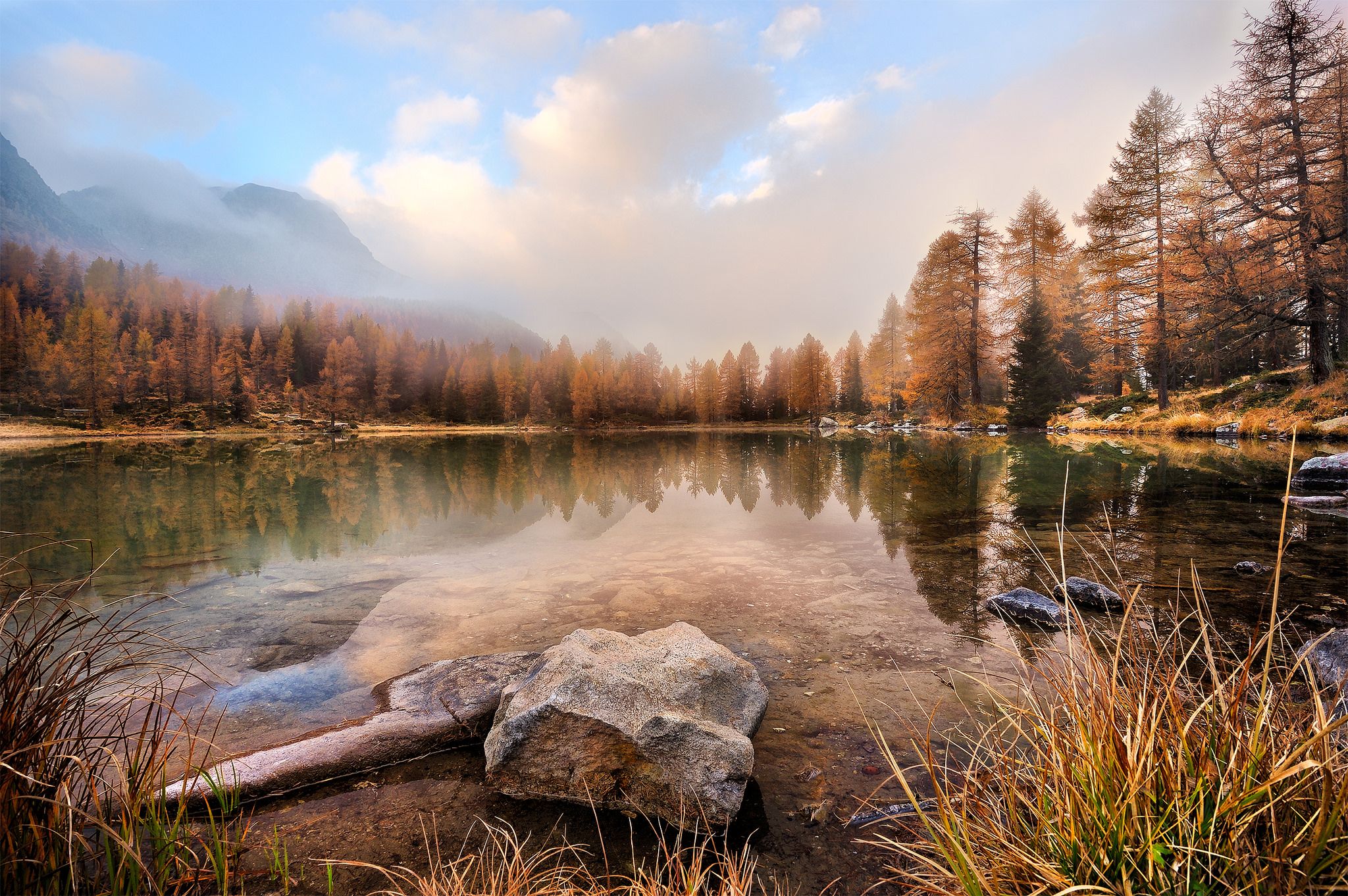 Wallpapers lake coniferous forest calmness on the desktop