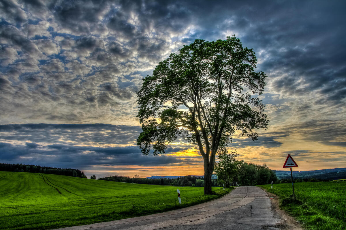 Free picture of the road, trees