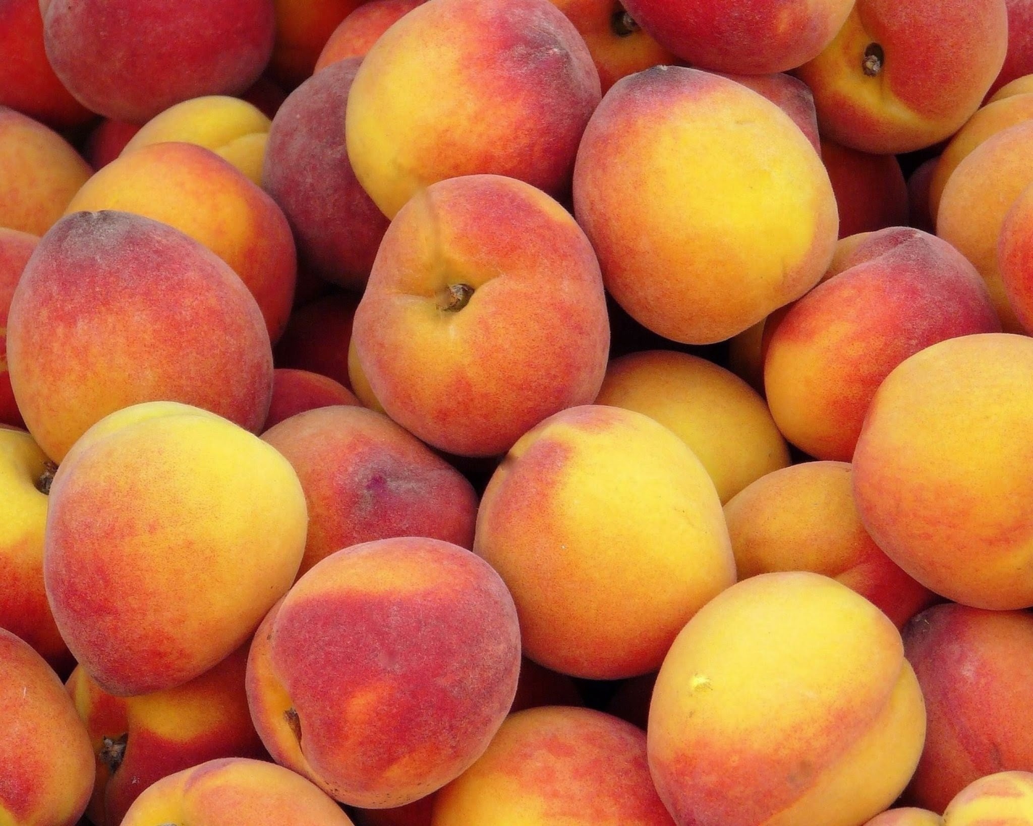 Бесплатное фото Спелые персики