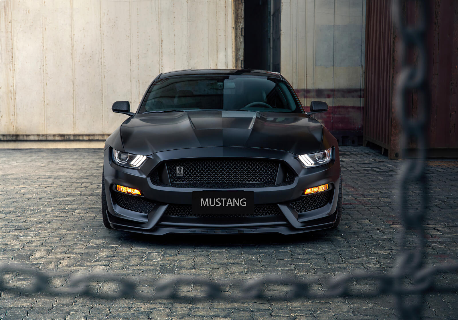 Wallpapers Ford Mustang cars black car on the desktop