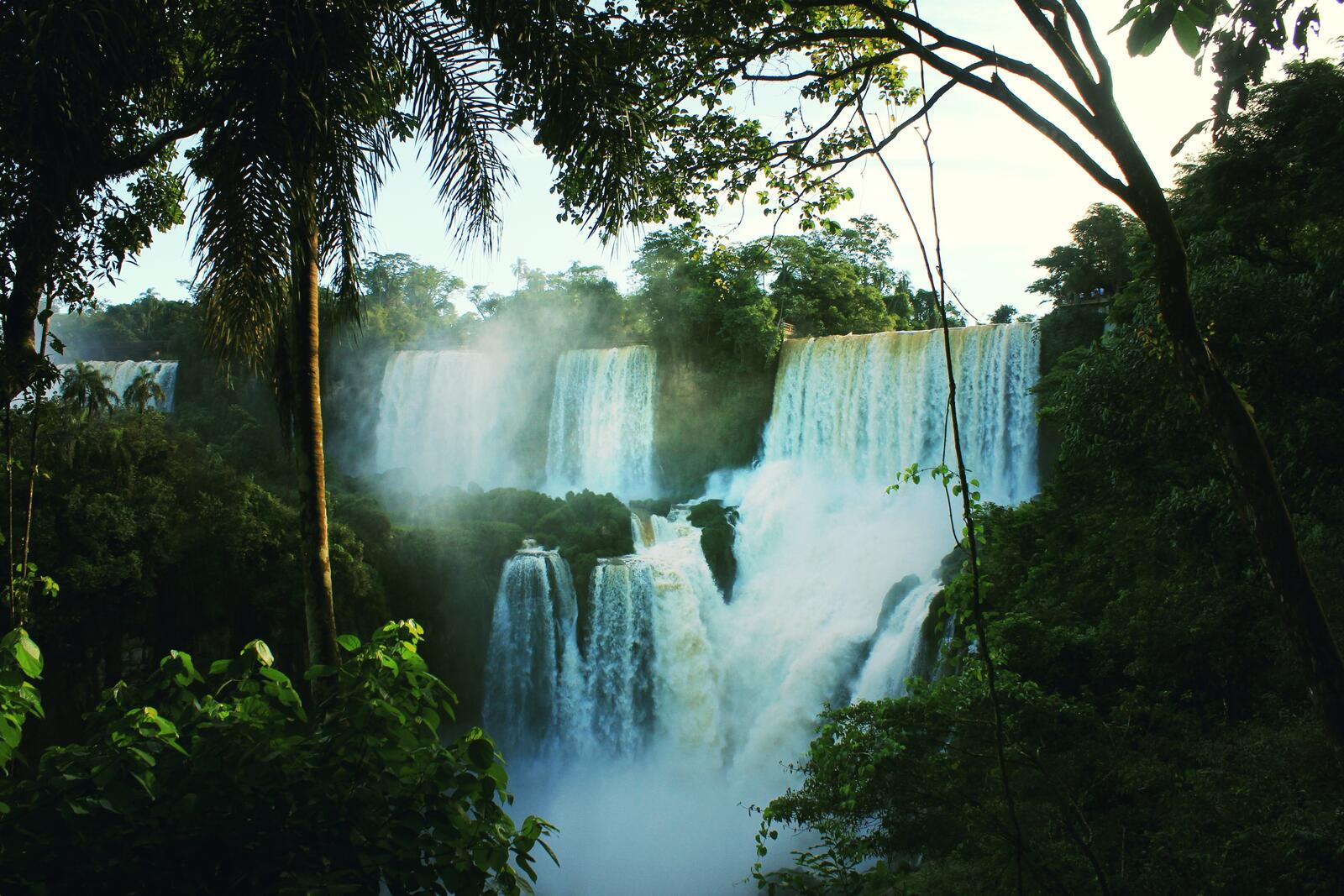 Бесплатное фото Высокий водопад в джунглях