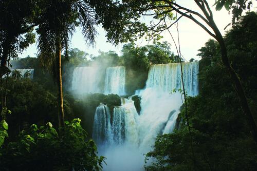 Высокий водопад в джунглях